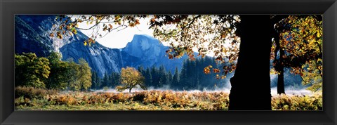 Framed Half Dome, Yosemite National Park, California, USA Print