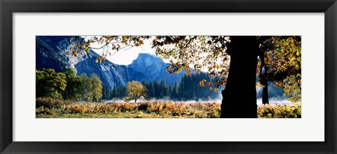 Framed Half Dome, Yosemite National Park, California, USA Print