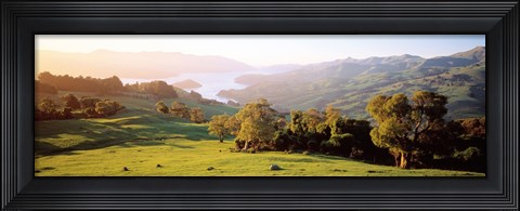 Framed Akaroa Harbor Canterbury New Zealand Print