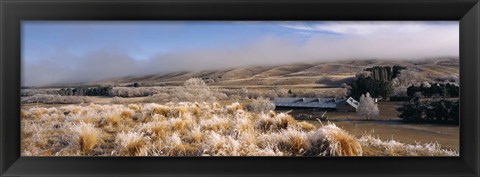 Framed Barn in a field, Morven Hills Station, Otago, New Zealand Print