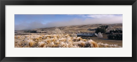 Framed Barn in a field, Morven Hills Station, Otago, New Zealand Print