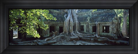 Framed Wat Temple Complex of Ta-Prohm Cambodia Print