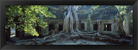 Framed Wat Temple Complex of Ta-Prohm Cambodia Print