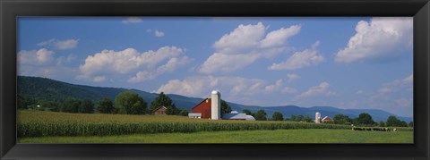 Framed Cultivated field in front of a barn, Kishacoquillas Valley, Pennsylvania, USA Print