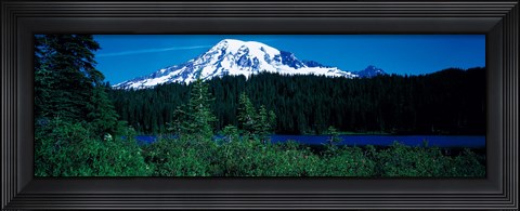 Framed Mt Rainier Mt Rainier National Park WA USA Print