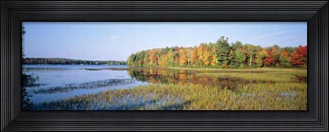 Framed Trees in a forest at the lakeside, Ontario, Canada Print