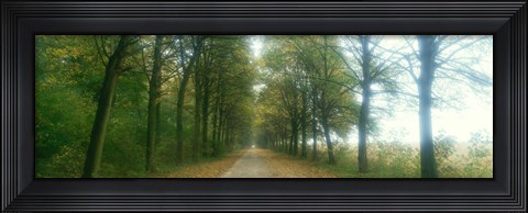 Framed Road With Fog, France Print