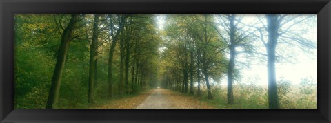 Framed Road With Fog, France Print