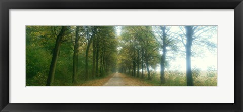 Framed Road With Fog, France Print