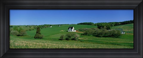 Framed Summer Fields And Houses, Prince Edward Island, Canada Print