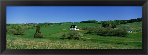 Framed Summer Fields And Houses, Prince Edward Island, Canada Print