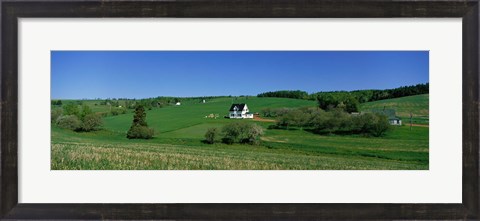 Framed Summer Fields And Houses, Prince Edward Island, Canada Print