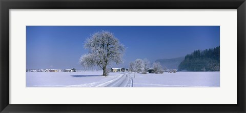 Framed Winter Scenic, Austria Print