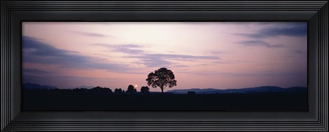Framed Night Schwangau Germany Print