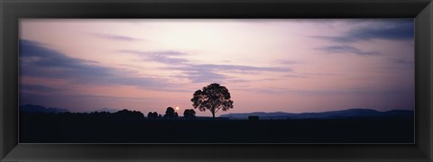 Framed Night Schwangau Germany Print