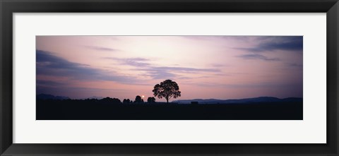 Framed Night Schwangau Germany Print