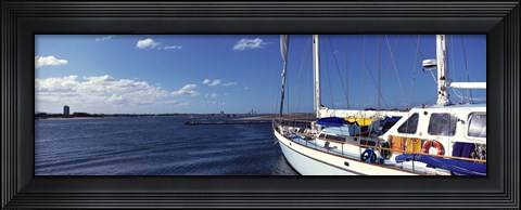 Framed Avalon, Santa Catalina Island, California, USA Print