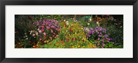 Framed Close-up of flowers, Muren, Switzerland Print