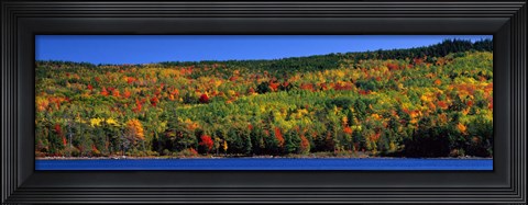 Framed Autumn Eagle Lake, Acadia National Park, Maine, USA Print