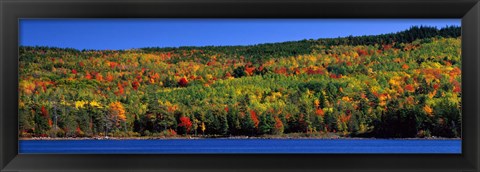 Framed Autumn Eagle Lake, Acadia National Park, Maine, USA Print