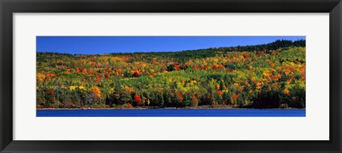 Framed Autumn Eagle Lake, Acadia National Park, Maine, USA Print