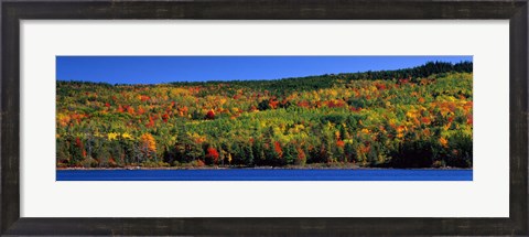 Framed Autumn Eagle Lake, Acadia National Park, Maine, USA Print