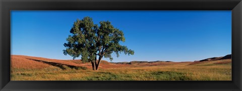 Framed Wind Cave National Park, South Dakota, USA Print