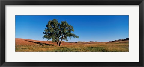 Framed Wind Cave National Park, South Dakota, USA Print