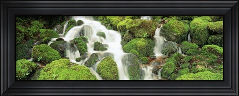 Framed USA, Washington, Olympic National Park Print