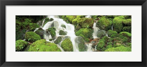 Framed USA, Washington, Olympic National Park Print