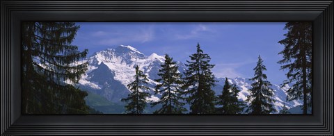 Framed Mountains covered with snow, Swiss Alps, Wengen, Bernese Oberland, Switzerland Print