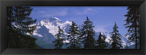 Framed Mountains covered with snow, Swiss Alps, Wengen, Bernese Oberland, Switzerland Print