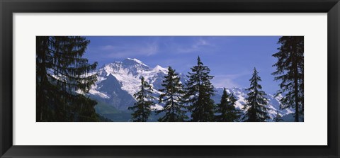 Framed Mountains covered with snow, Swiss Alps, Wengen, Bernese Oberland, Switzerland Print