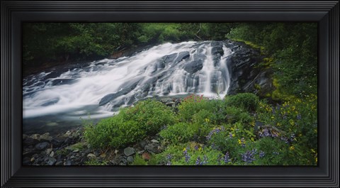 Framed Waterfall in the forest, Mt Rainier National Park, Washington State, USA Print