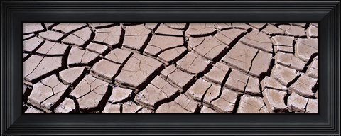 Framed Close-up of cracked mud, South Dakota, USA Print