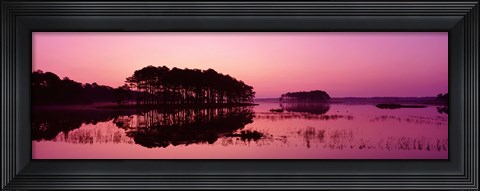 Framed Panoramic View Of The National Forest During Sunset, Chincoteague National Wildlife Refuge, Virginia, USA Print