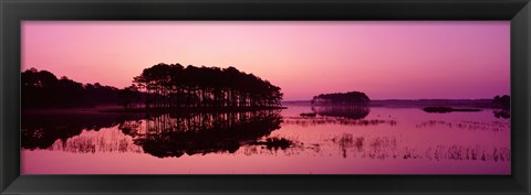 Framed Panoramic View Of The National Forest During Sunset, Chincoteague National Wildlife Refuge, Virginia, USA Print