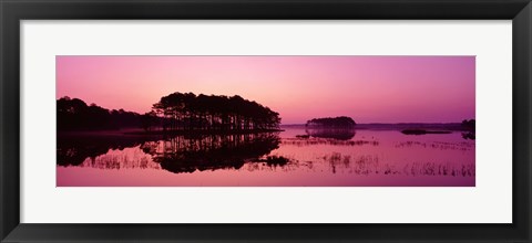 Framed Panoramic View Of The National Forest During Sunset, Chincoteague National Wildlife Refuge, Virginia, USA Print