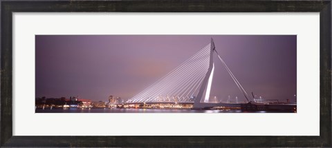 Framed Erasmus Bridge, Rotterdam, Holland, Netherlands Print