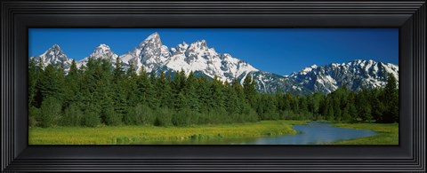 Framed Trees along a river, Near Schwabachers Landing, Grand Teton National Park, Wyoming Print