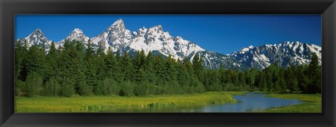 Framed Trees along a river, Near Schwabachers Landing, Grand Teton National Park, Wyoming Print