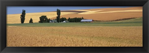 Framed Farm, Saint John, Washington State, USA Print