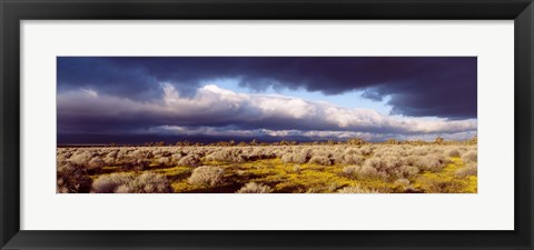 Framed Clouds, Mojave Desert, California, USA Print