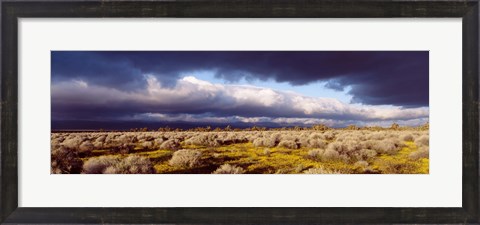 Framed Clouds, Mojave Desert, California, USA Print