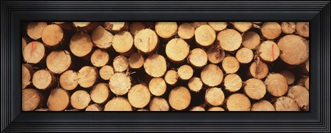 Framed Marked Wood In A Timber Industry, Black Forest, Germany Print