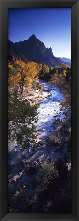 Framed High angle view of a river flowing through a forest, Virgin River, Zion National Park, Utah, USA Print