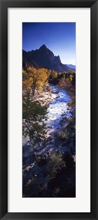 Framed High angle view of a river flowing through a forest, Virgin River, Zion National Park, Utah, USA Print