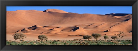 Framed Africa, Namibia, Namib Desert Print