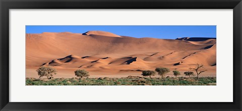 Framed Africa, Namibia, Namib Desert Print