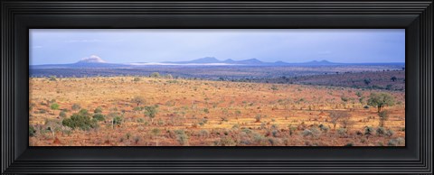 Framed Tarangire Park, Tanzania, Africa Print